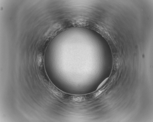 X0000087030709200704161611