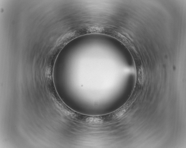 X0000087030714200704161610