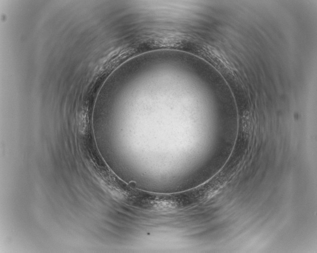 X0000087030741200704161610