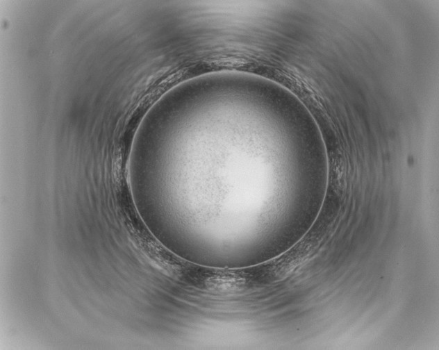 X0000087030745200704161610
