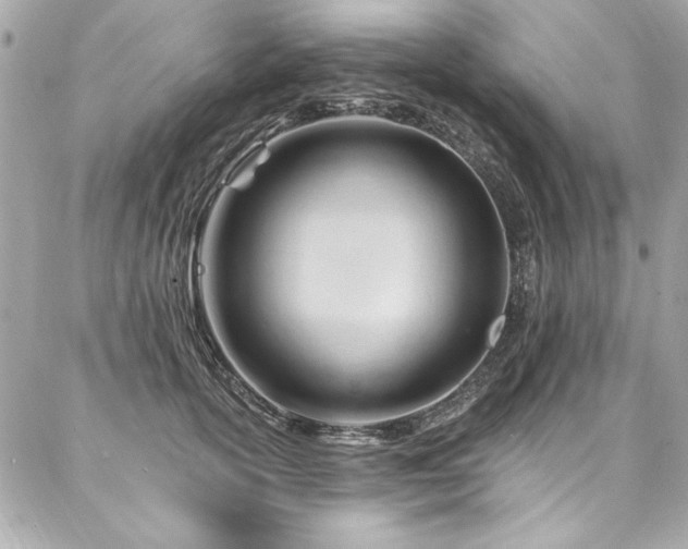 X0000087030754200704161610