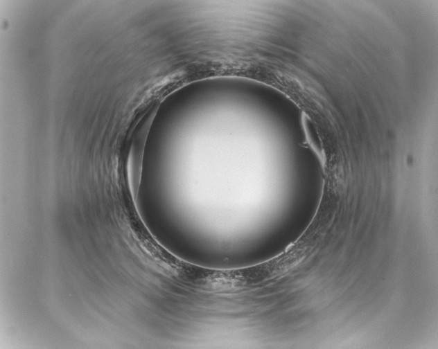 X0000087030756200704161610