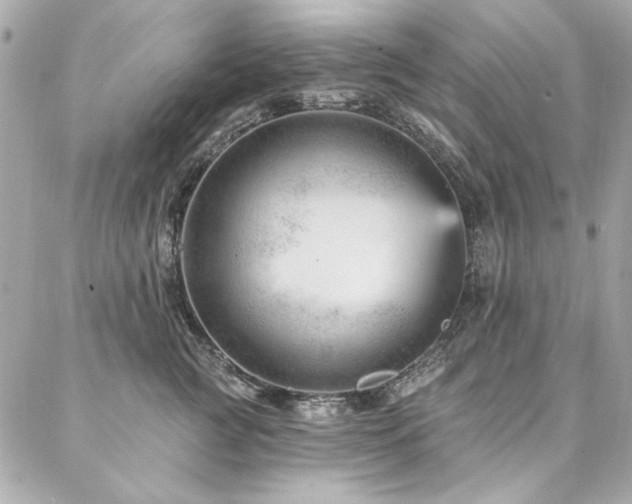 X0000087030761200704161610
