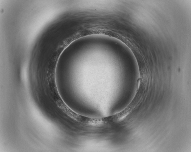 X0000087030767200704161610