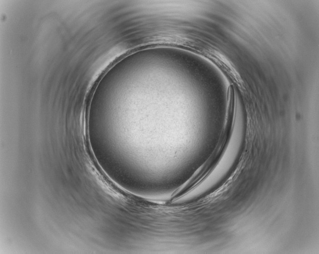 X0000087030796200704161609