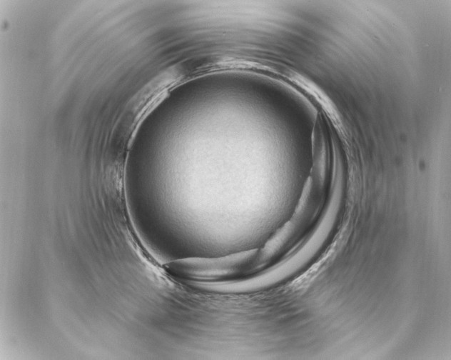 X0000087030809200704161609