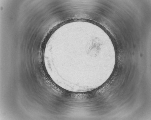 X0000087030832200704161608