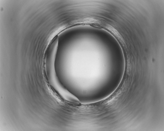 X0000087030850200704161609