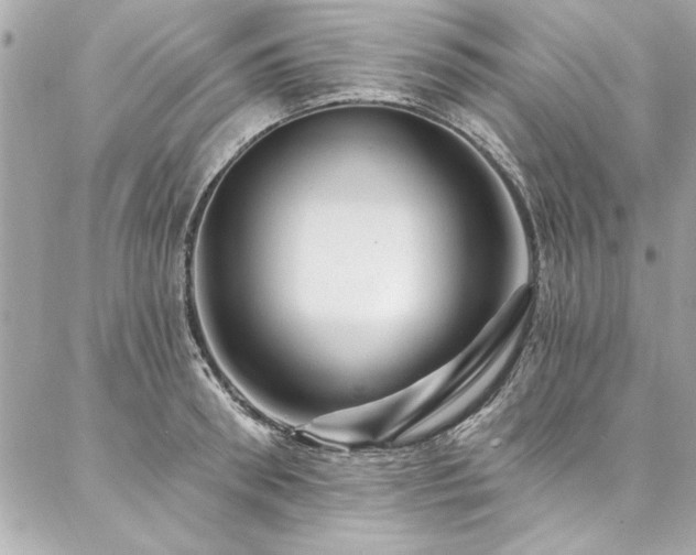 X0000087030898200704161608