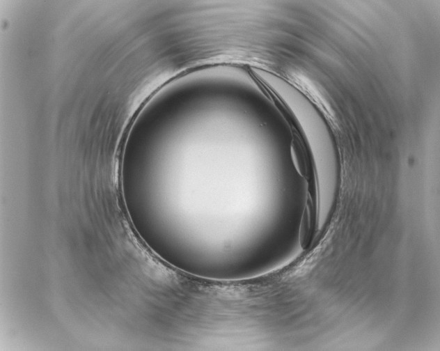 X0000087030900200704161607