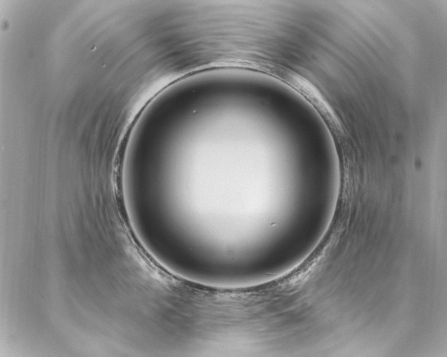 X0000087030908200704161607