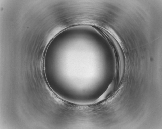 X0000087030909200704161607