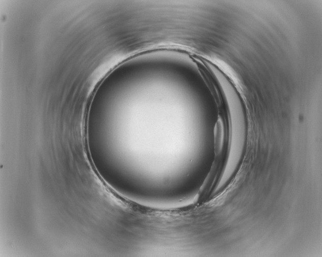 X0000087030910200704161607