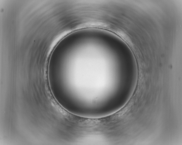 X0000087030912200704161607