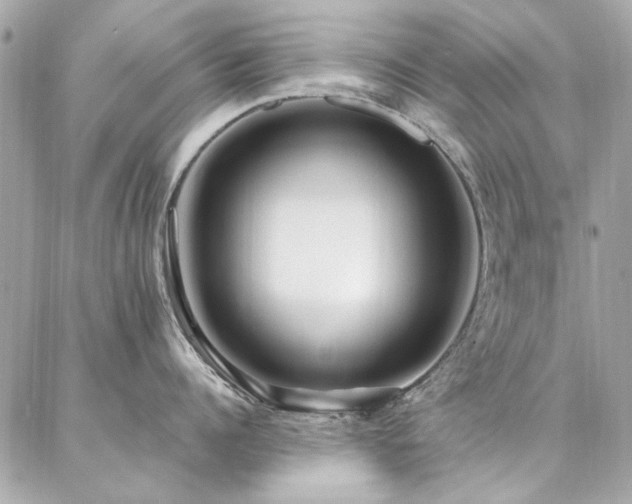 X0000087030960200704161607