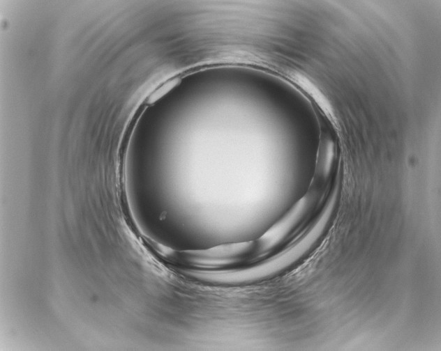X0000087030996200704161606