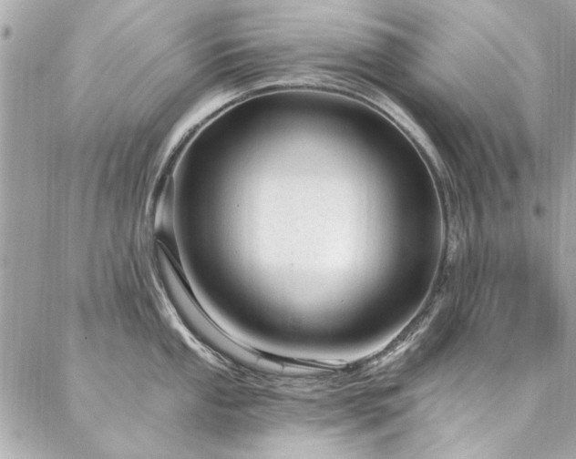 X0000087031053200704161606