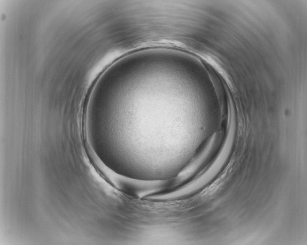 X0000087031054200704161606