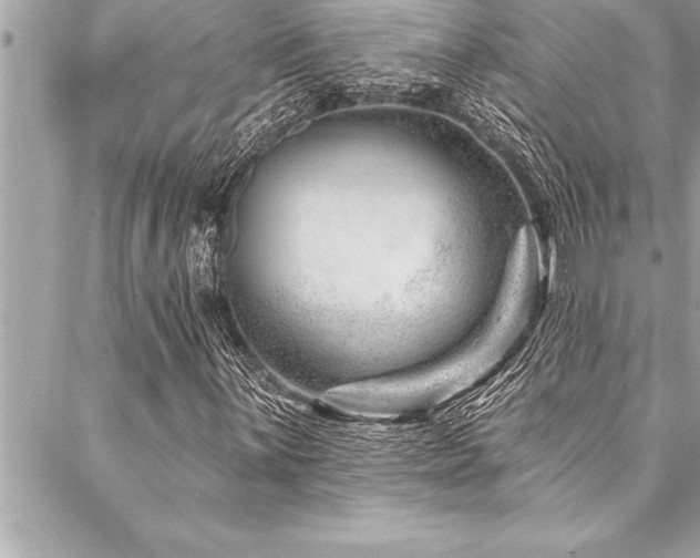 X0000087031059200704161605
