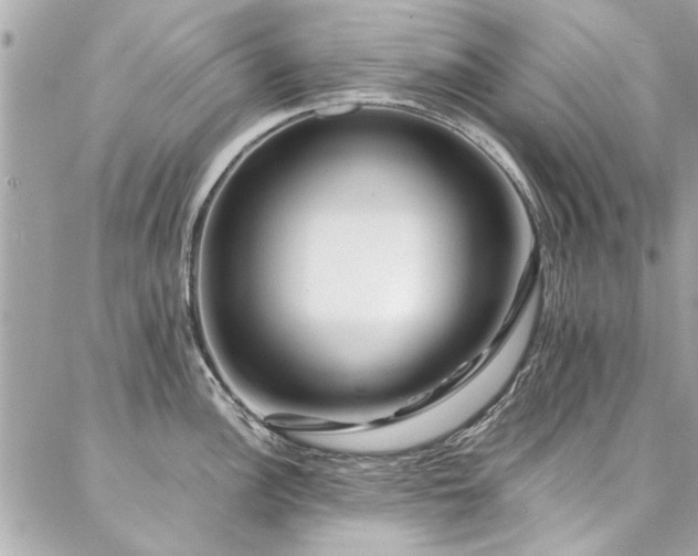 X0000087031148200704161604
