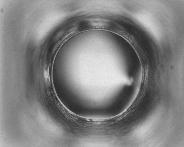 X0000087031198200704161603
