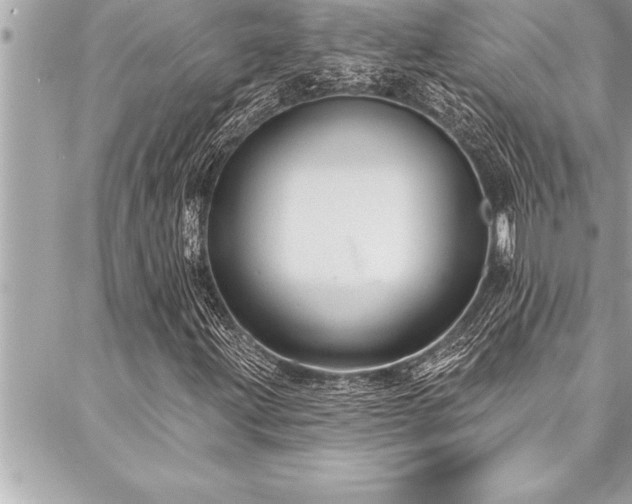 X0000087031203200704161602
