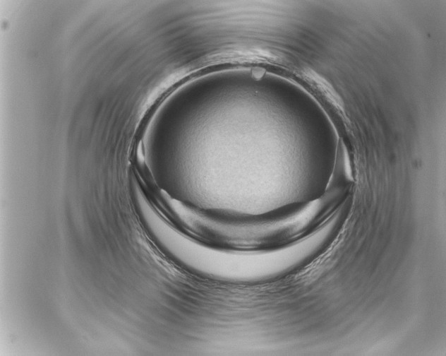 X0000087031226200704161602