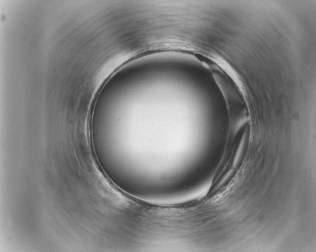 X0000087031293200704161601