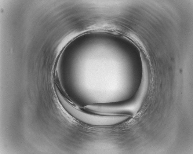 X0000087031344200704161601