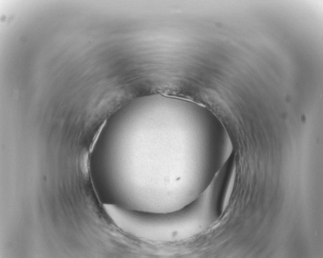 X0000087030041200704232036