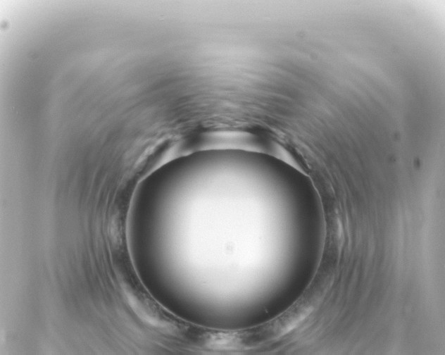 X0000087030088200704232035