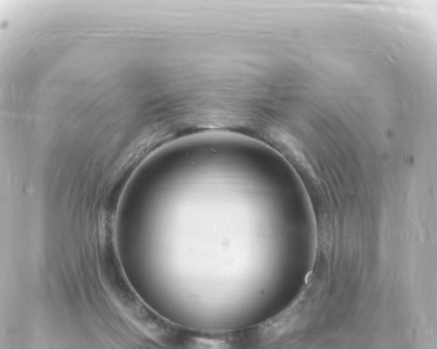 X0000087030167200704232033