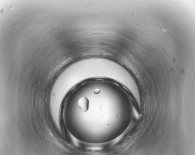 X0000087030356200704232030