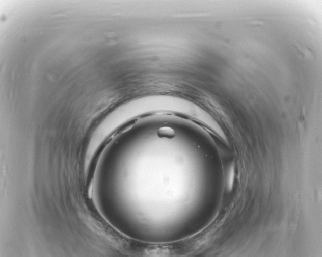 X0000087030362200704232030