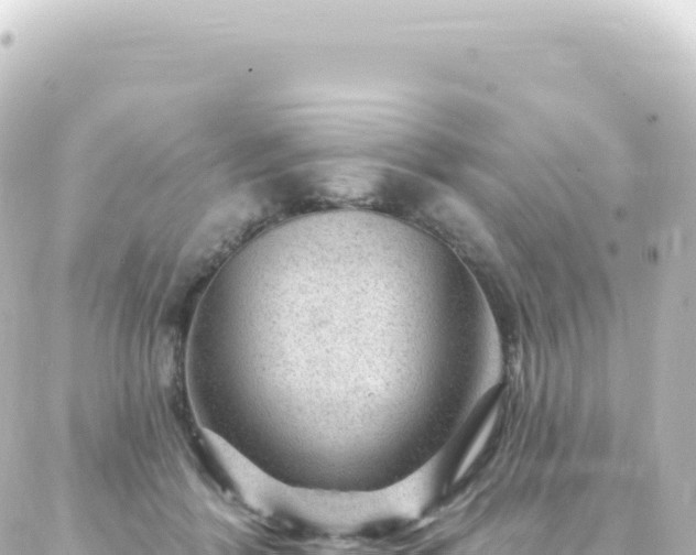 X0000087030412200704232030