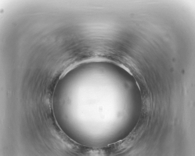X0000087030415200704232029