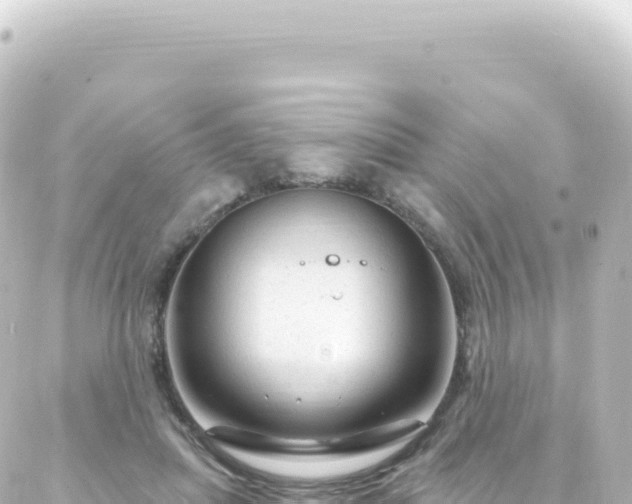 X0000087030455200704232029