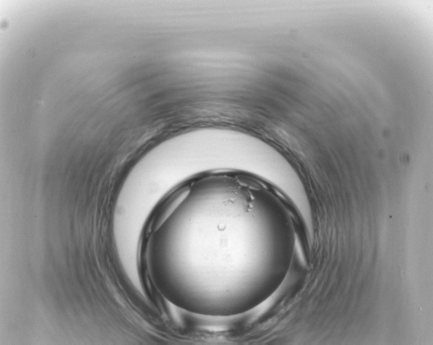 X0000087030456200704232029