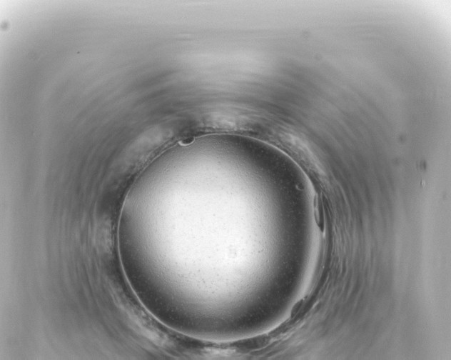 X0000087030457200704232029