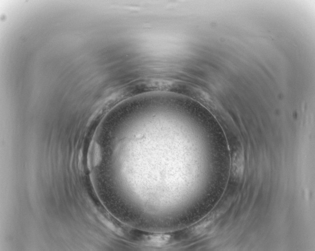 X0000087030474200704232029