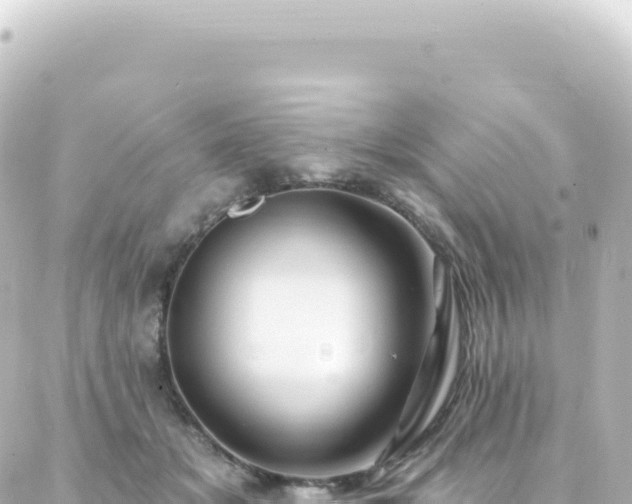 X0000087030509200704232028