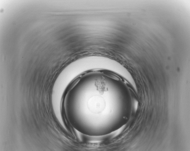 X0000087030562200704232027