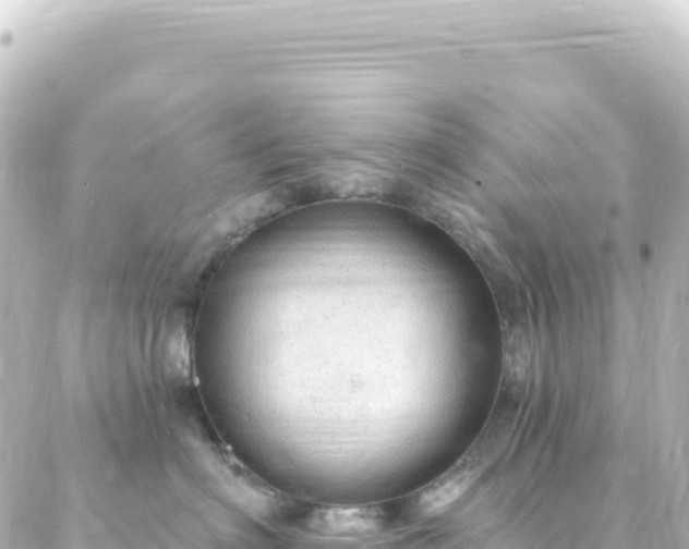 X0000087030622200704232026