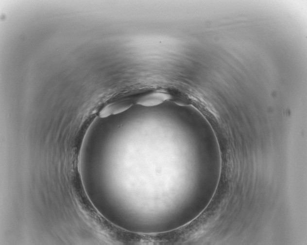 X0000087030641200704232026