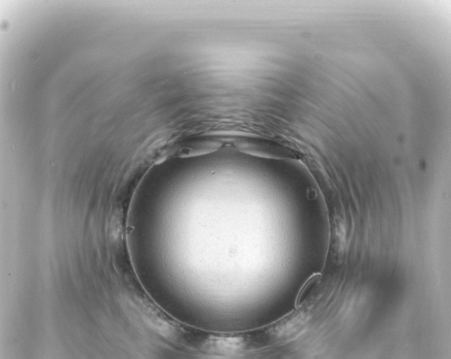 X0000087030665200704232026