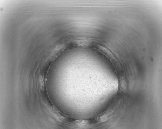 X0000087030667200704232026
