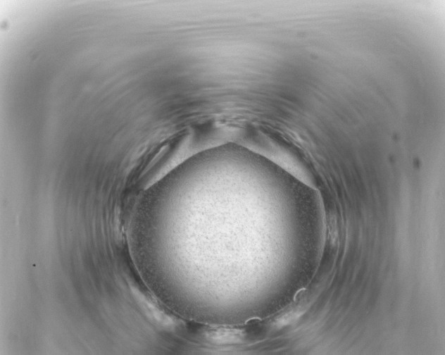X0000087030670200704232026