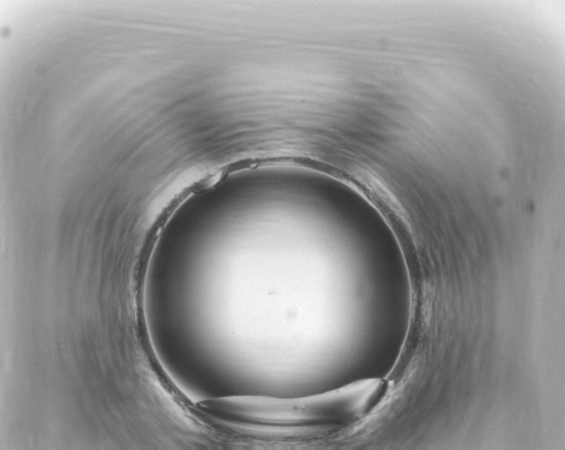 X0000087030789200704232023