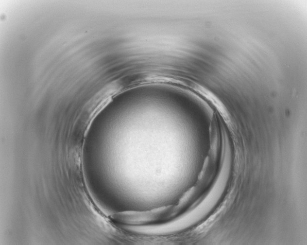 X0000087030809200704232023