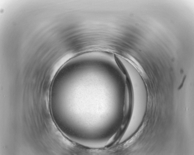 X0000087030812200704232023